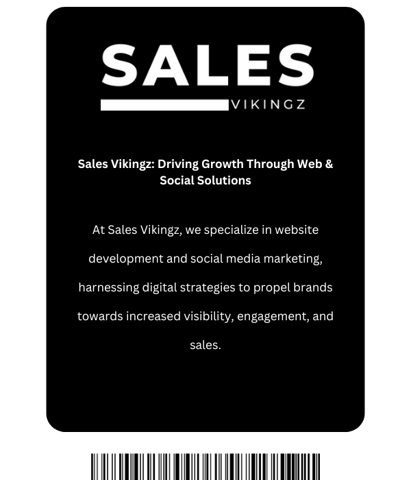 VIKings by e Business Helper